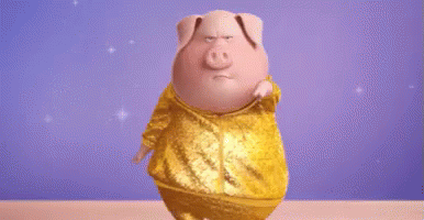 a dancing pig is performing